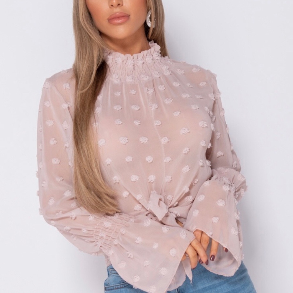 SOLD OUT 🌿🌿Blush Dobby Shirring High Neck Blouse - Picture 2 of 8
